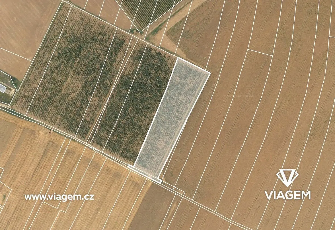 Prodej pozemku 3600 m², Chotiněves · okres Litoměřice