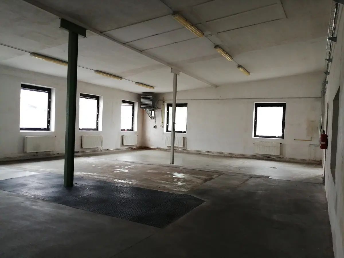 Pronájem komerčního prostoru 300 m², Ždírec nad Doubravou