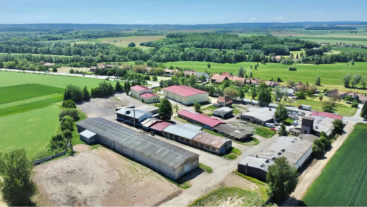 Prodej pozemku 30000 m², Řídký · okres Svitavy