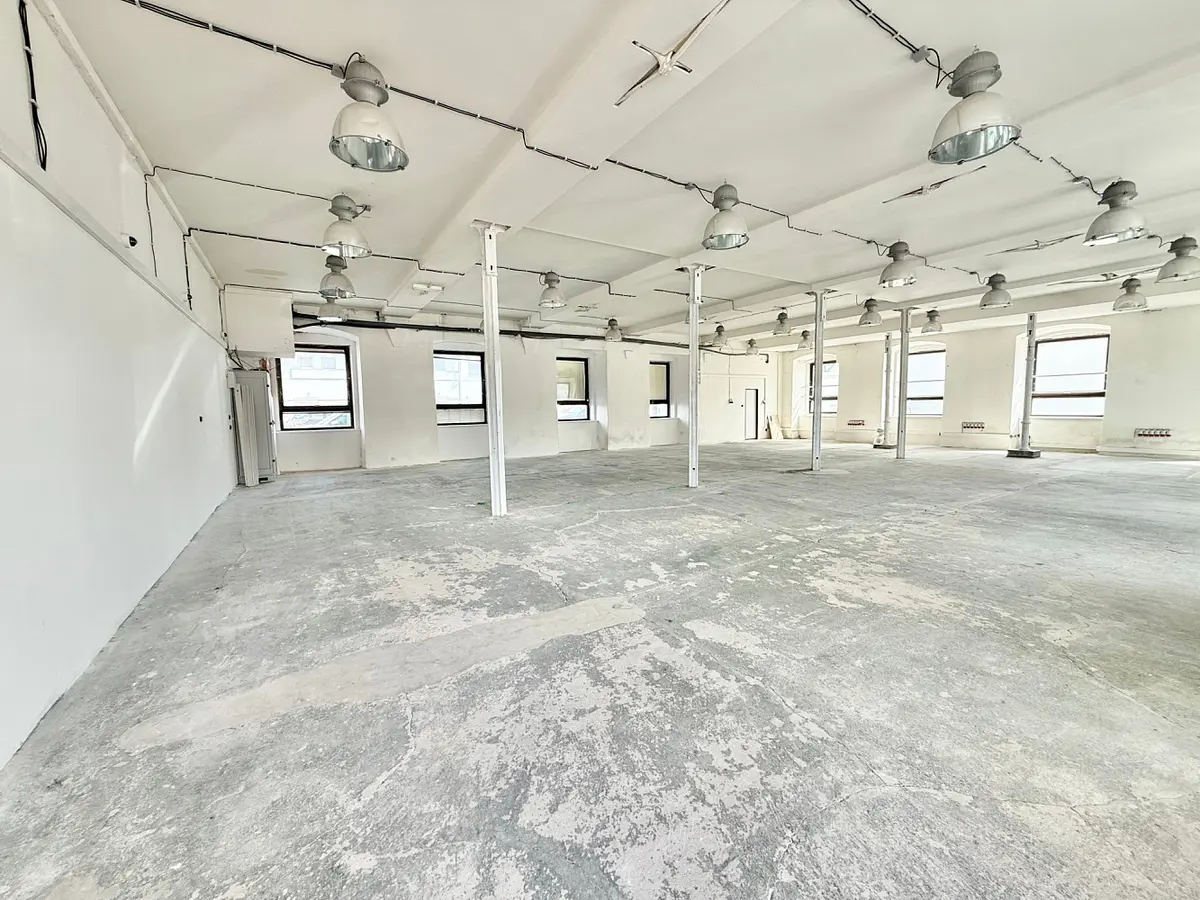 Pronájem komerčního prostoru 365 m², Václavská · Staré Brno · Brno