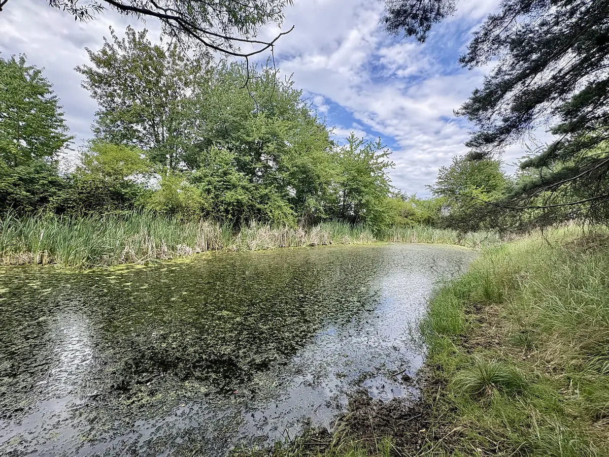 Prodej pozemku 17967 m², Libice · Rybníky