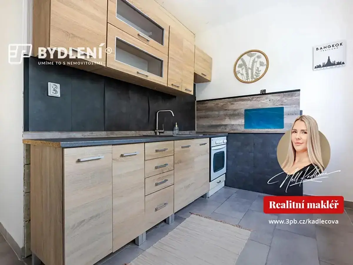Prodej bytu 2+1 56 m², Podkrušnohorská · Horní Litvínov · Litvínov