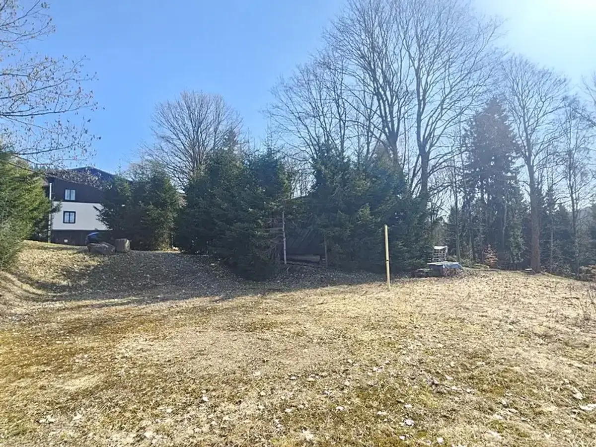 Prodej pozemku 11396 m², Janov nad Nisou