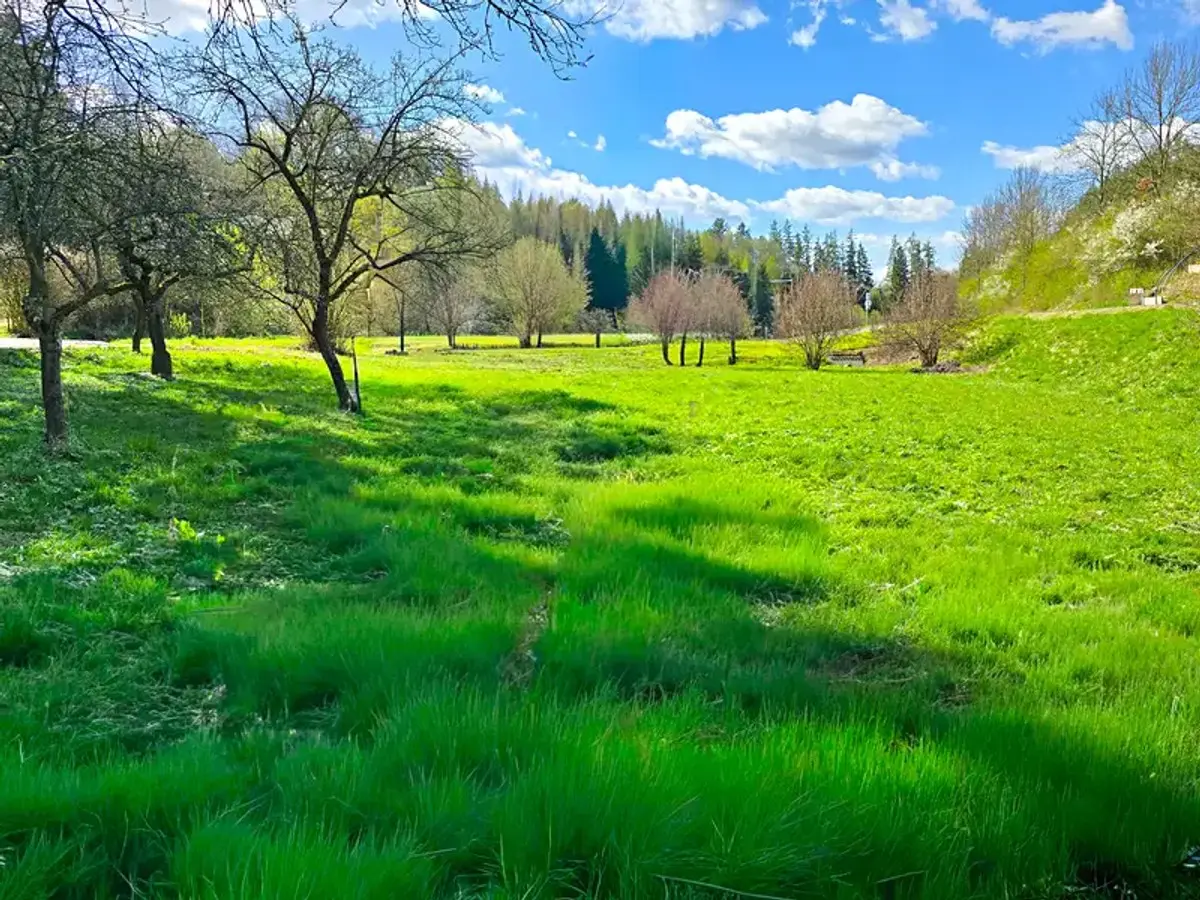 Prodej domu 236 m², Borušov