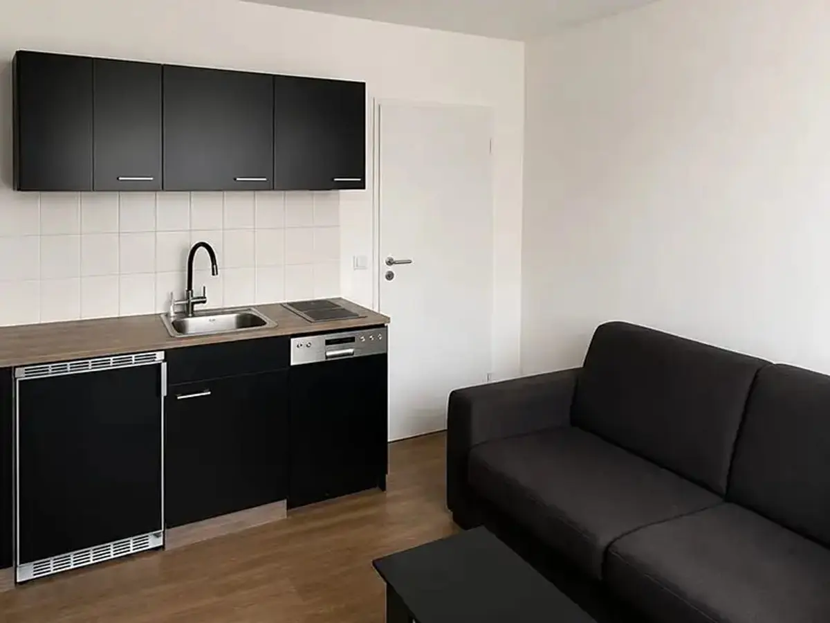 Prodej bytu 1+kk 20 m², Puklicova · České Budějovice 3 · České Budějovice
