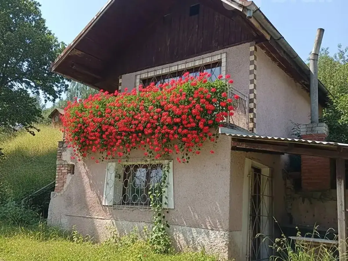 Prodej chaty / chalupy 70 m², Smetanova · Žlutice