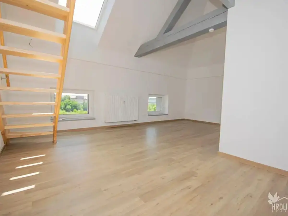 Prodej bytu 1+kk 53 m², Vladislavova · Písek