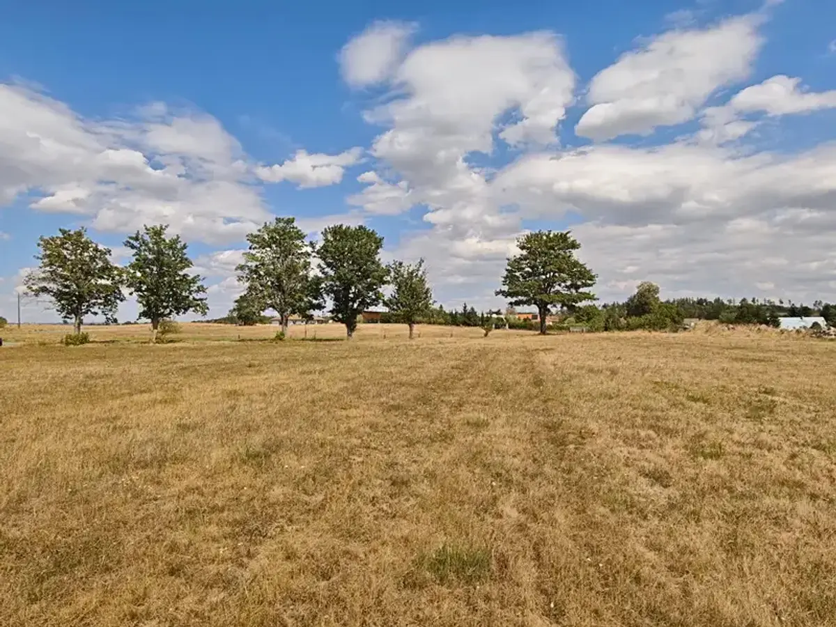 Prodej pozemku 2400 m², Kojatín · okres Třebíč