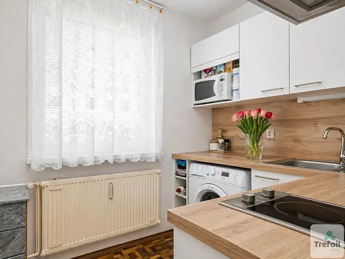 Prodej bytu 1+1 39 m², Borový vrch · Ruprechtice · Liberec