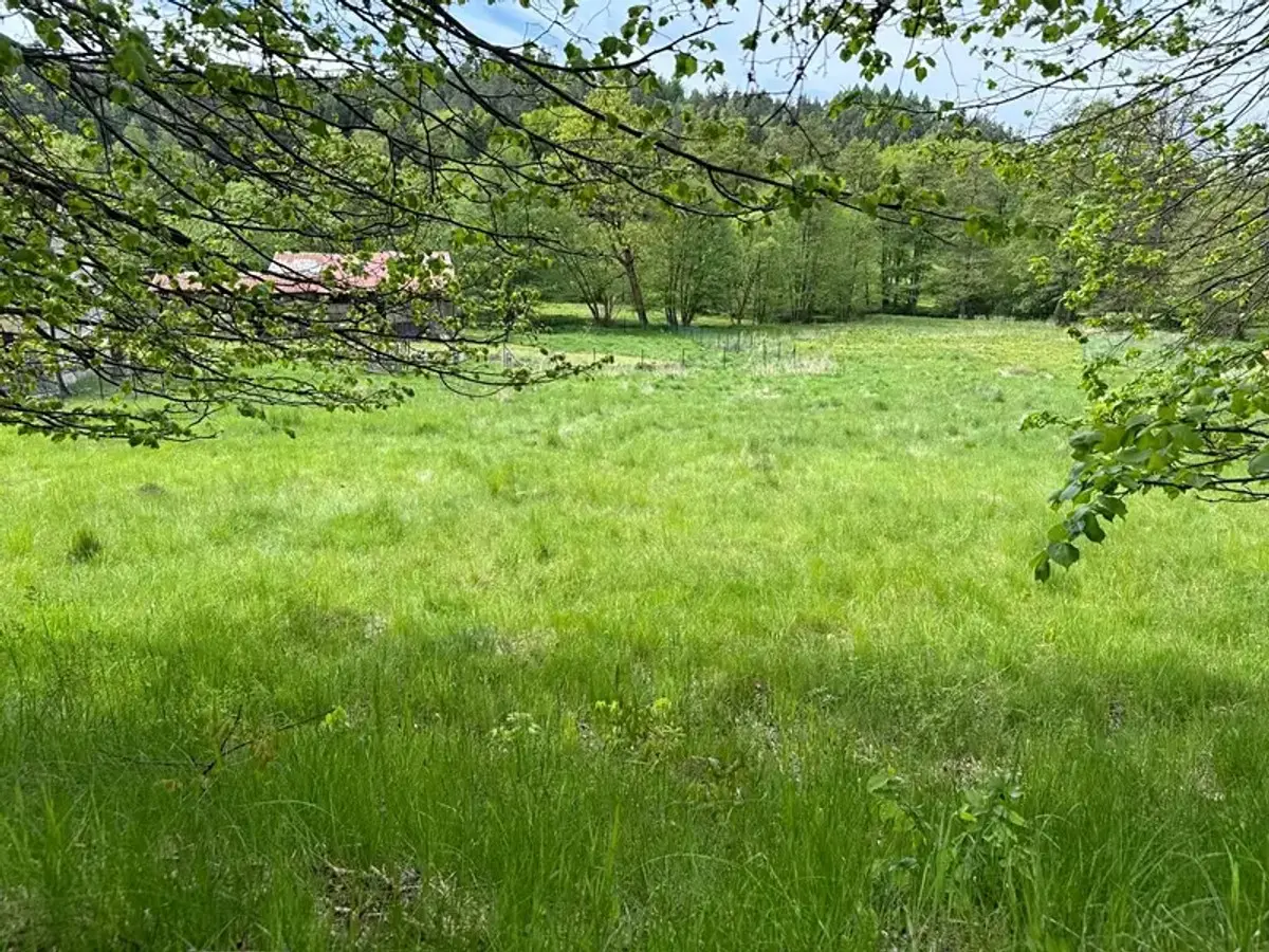 Prodej pozemku 1186 m², Prysk · okres Česká Lípa