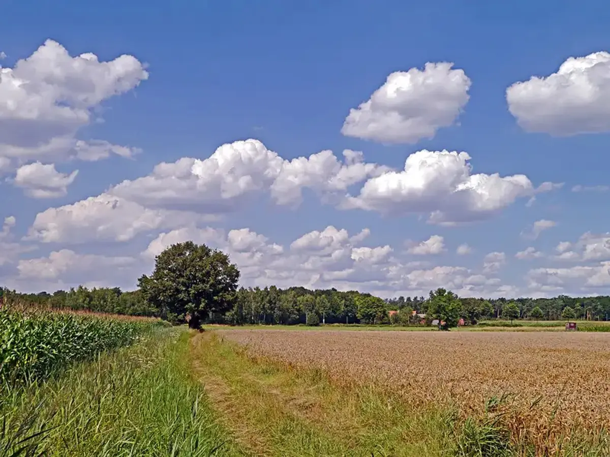 Prodej pozemku 954 m², Troubky-Zdislavice · okres Kroměříž