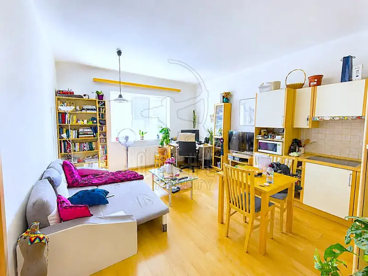 Prodej bytu 2+kk 53 m², Tolstého · Vršovice