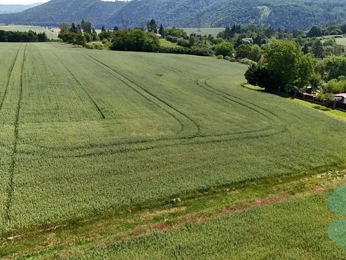 Prodej pozemku 10864 m², Hřešihlavy · Kladruby