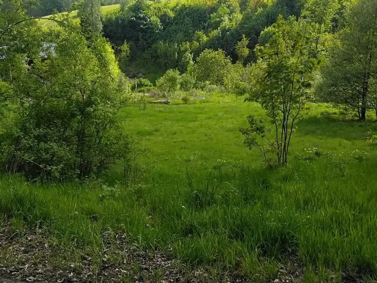 Prodej pozemku 1763 m², Merklín · okres Karlovy Vary