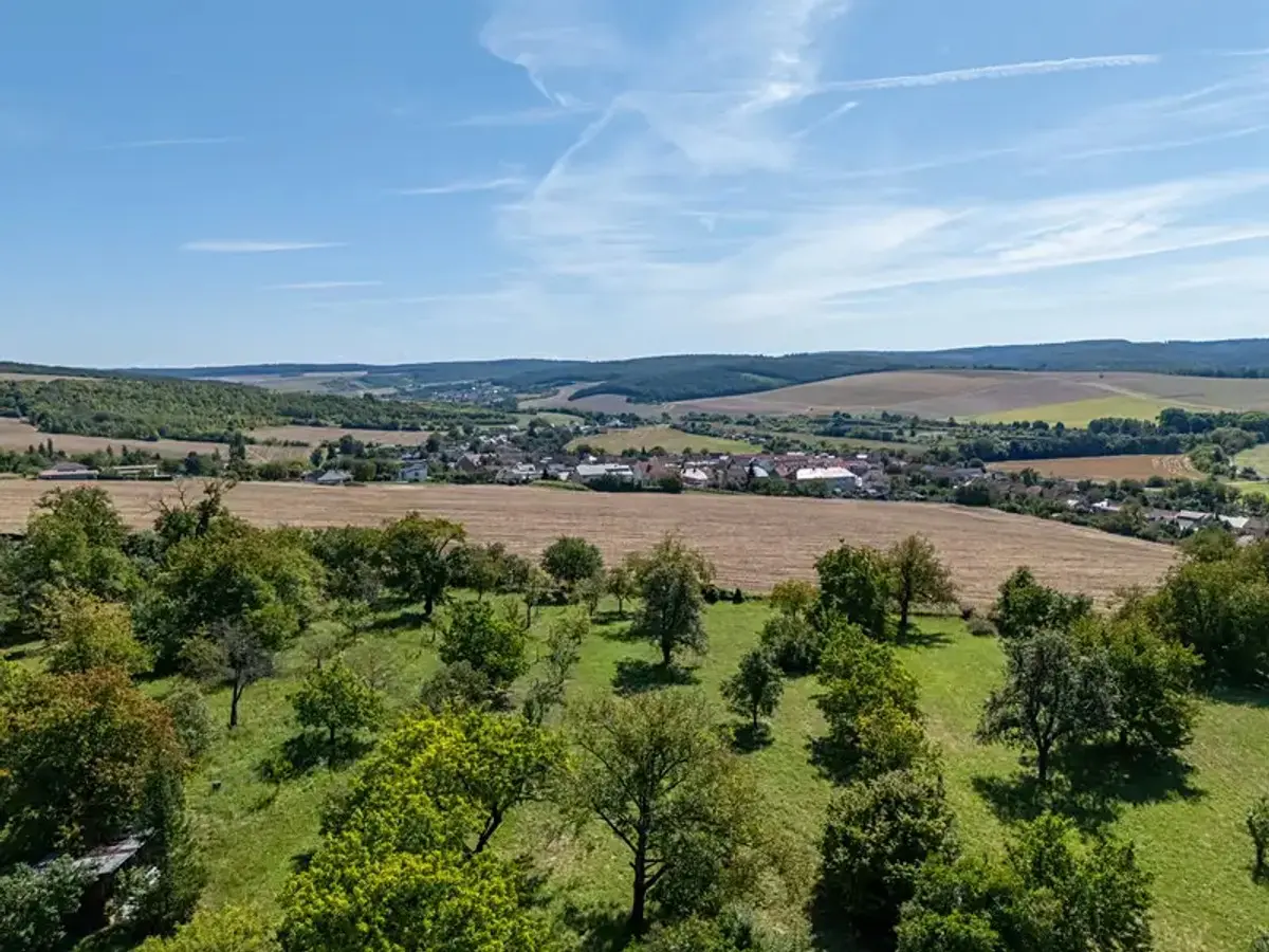 Prodej pozemku 7851 m², Náhorní · Bučovice