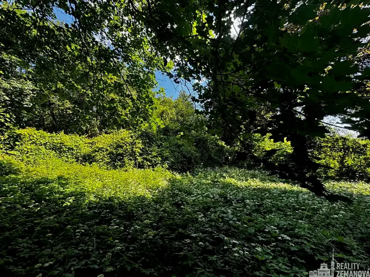 Prodej pozemku 7834 m², Tiché údolí · Roztoky u Prahy · Roztoky