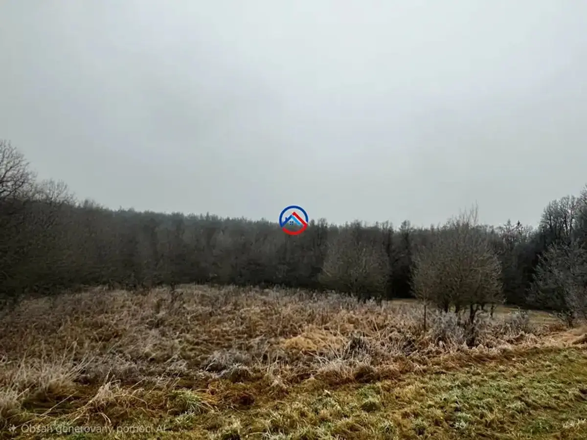 Prodej pozemku 1250 m², Loučná nad Desnou · okres Šumperk