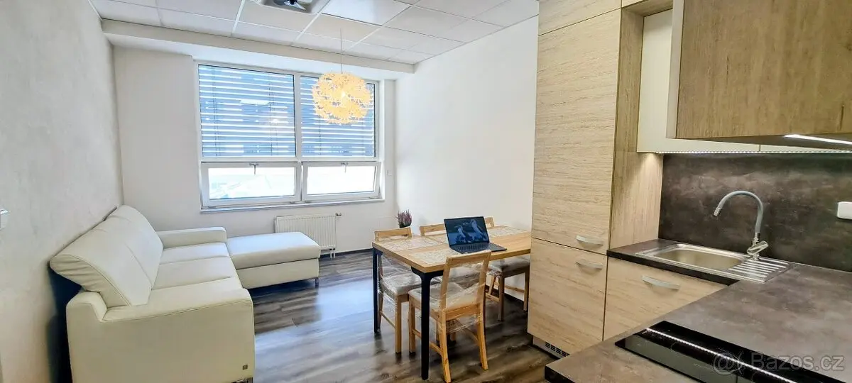 Pronájem bytu 2+kk 46 m², Veveří · Brno