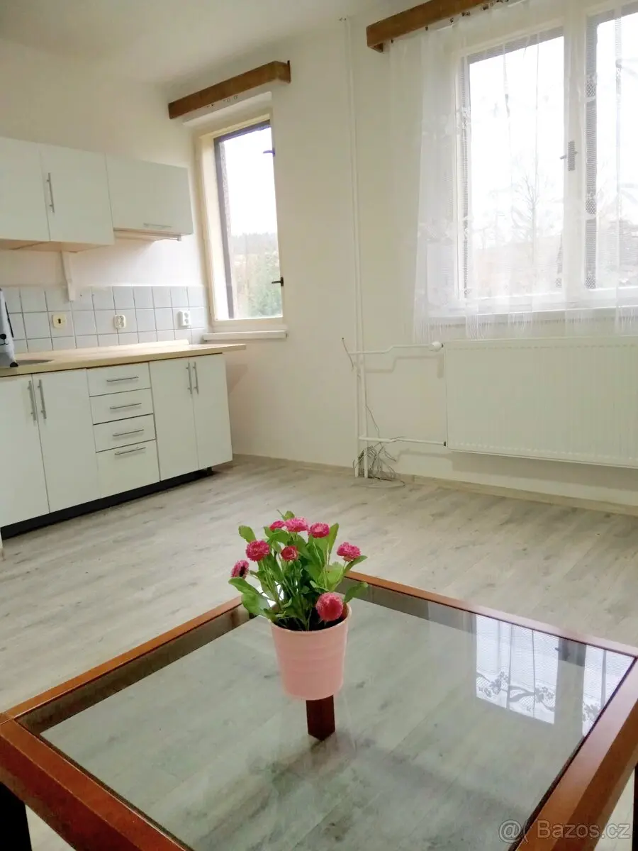 Pronájem bytu 1+kk 27 m², Rychnov nad Kněžnou · 517 83