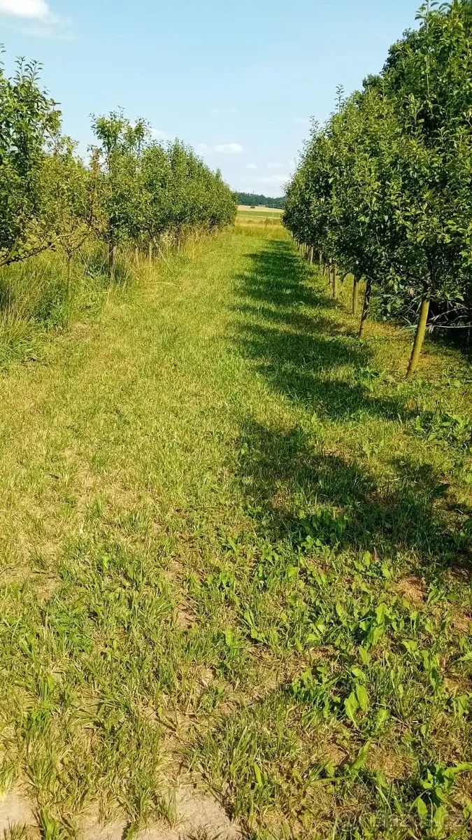 Pronájem pozemku, Nymburk · 289 23