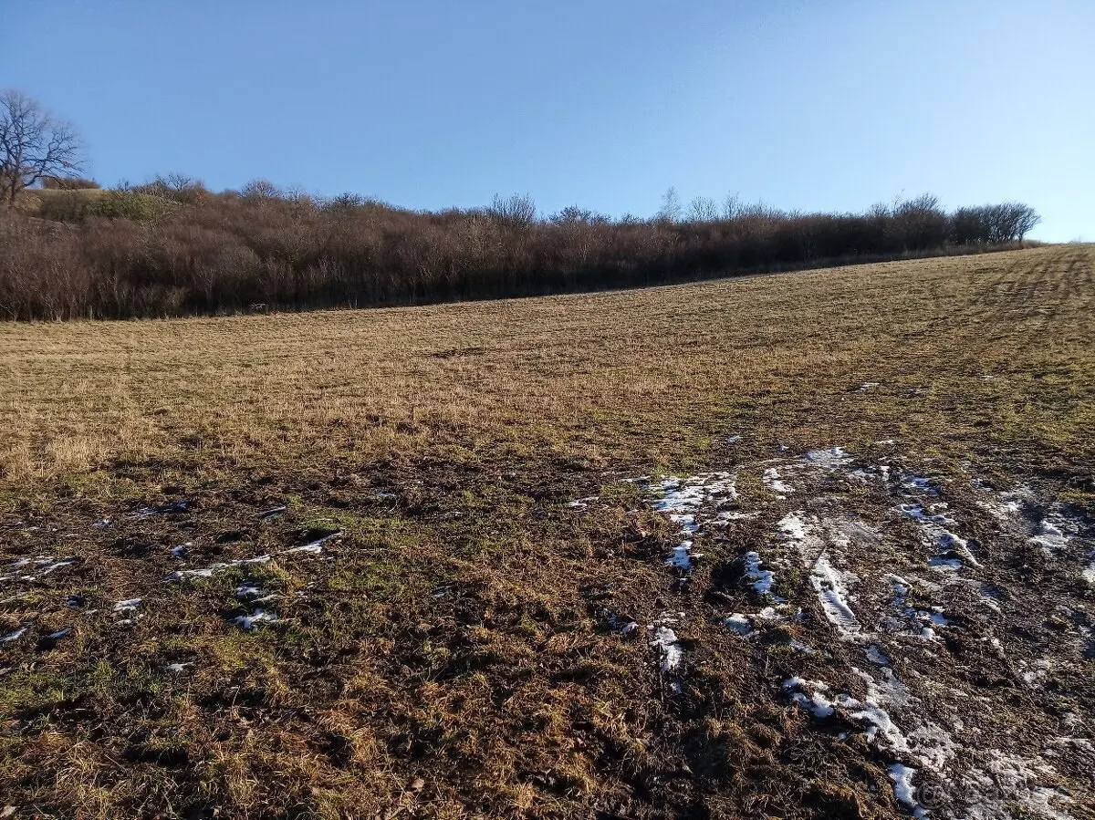 Pronájem pozemku 6000 m², Litoměřice · 412 01