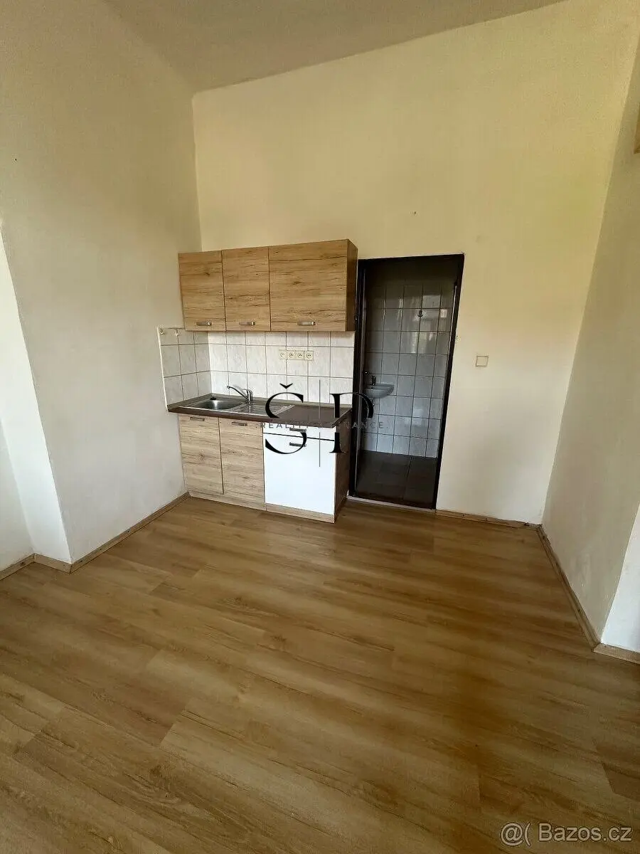 Pronájem bytu 1+kk 150 m², Pelhřimov · 394 92