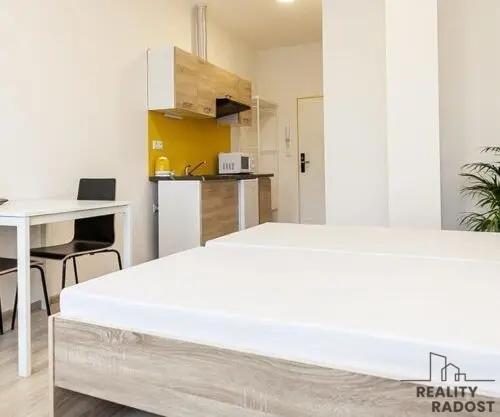 Pronájem bytu 1+kk 21 m², Veveří · Brno