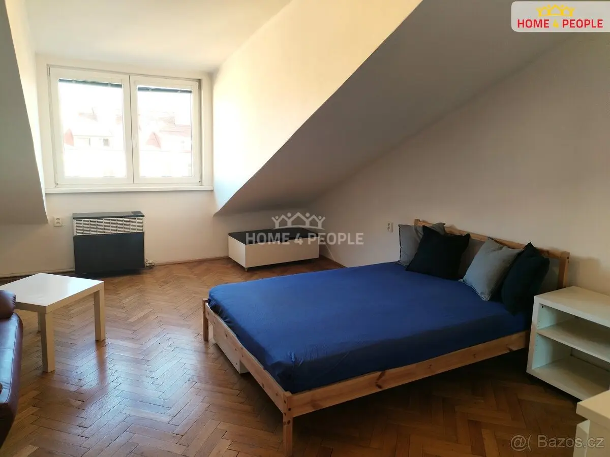 Pronájem bytu 2+1 50 m², Žižkov