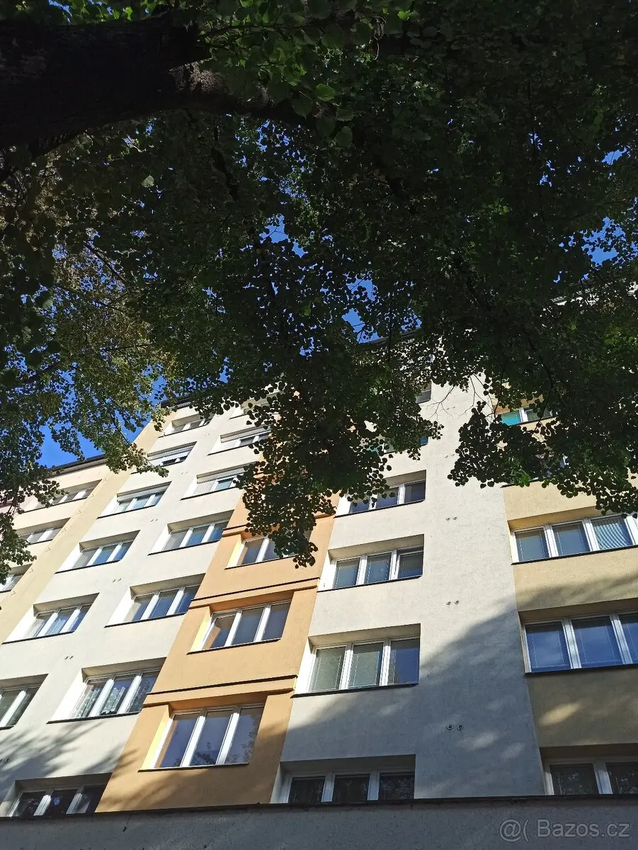 Prodej bytu 22 m², Opava-Předměstí · Opava