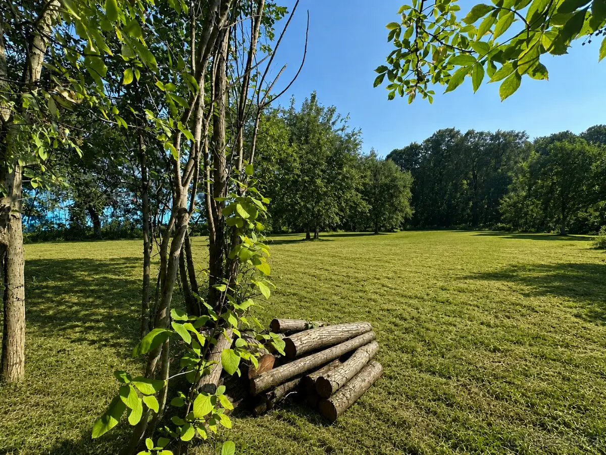 Prodej pozemku 2600 m², Mikulovice