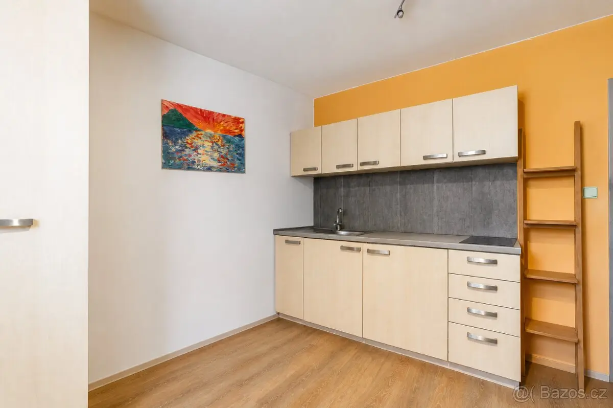 Prodej bytu 1+kk 22 m², Veveří · Brno