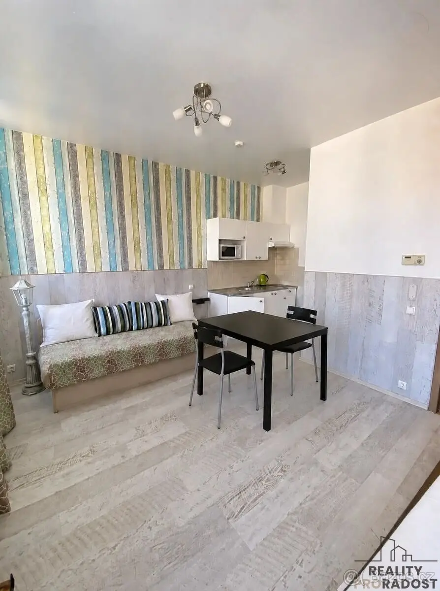 Pronájem bytu 1+kk 31 m², Vinohrady