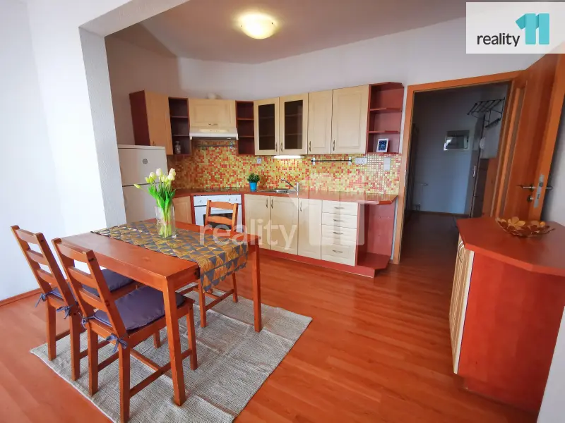 Pronájem bytu 1+kk 40 m², Chýně