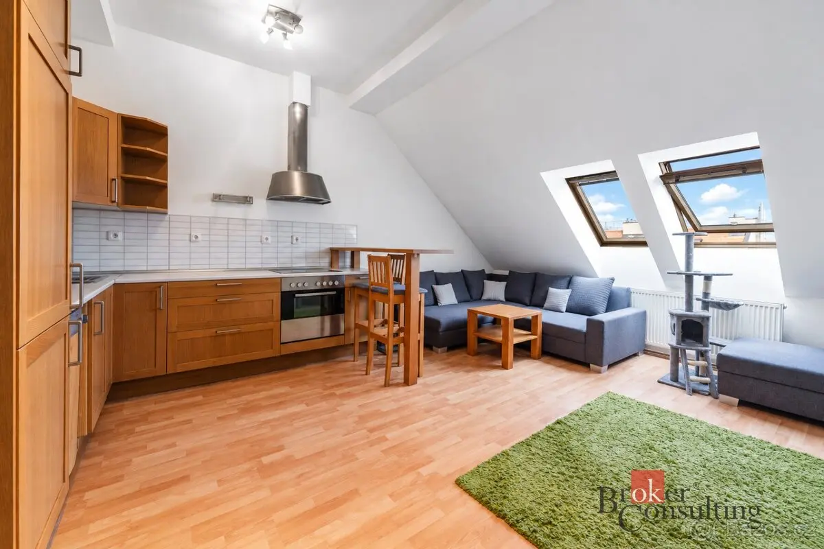 Prodej bytu 2+kk 47 m², Žižkov