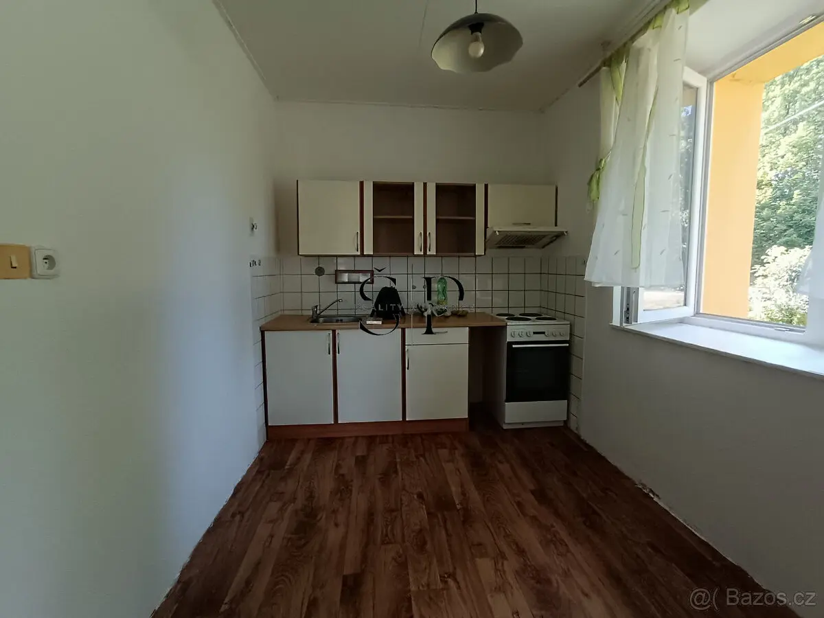 Pronájem bytu 1+1 47 m², Plzeň-jih · 333 01