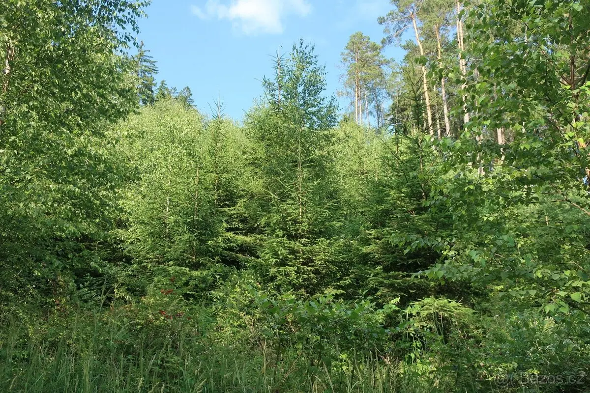 Prodej pozemku 4542 m², Blansko · 679 63
