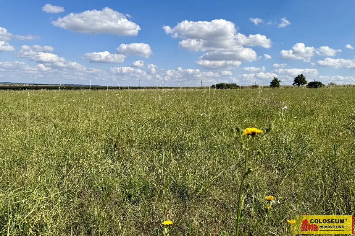Prodej pozemku 8168 m², Znojmo · 671 51