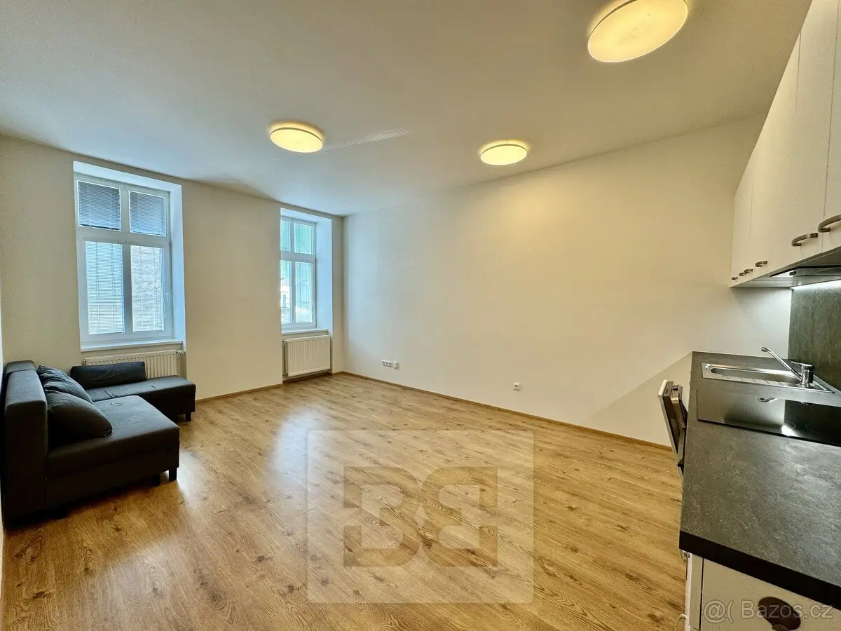 Pronájem bytu 2+kk 60 m², Veveří · Brno