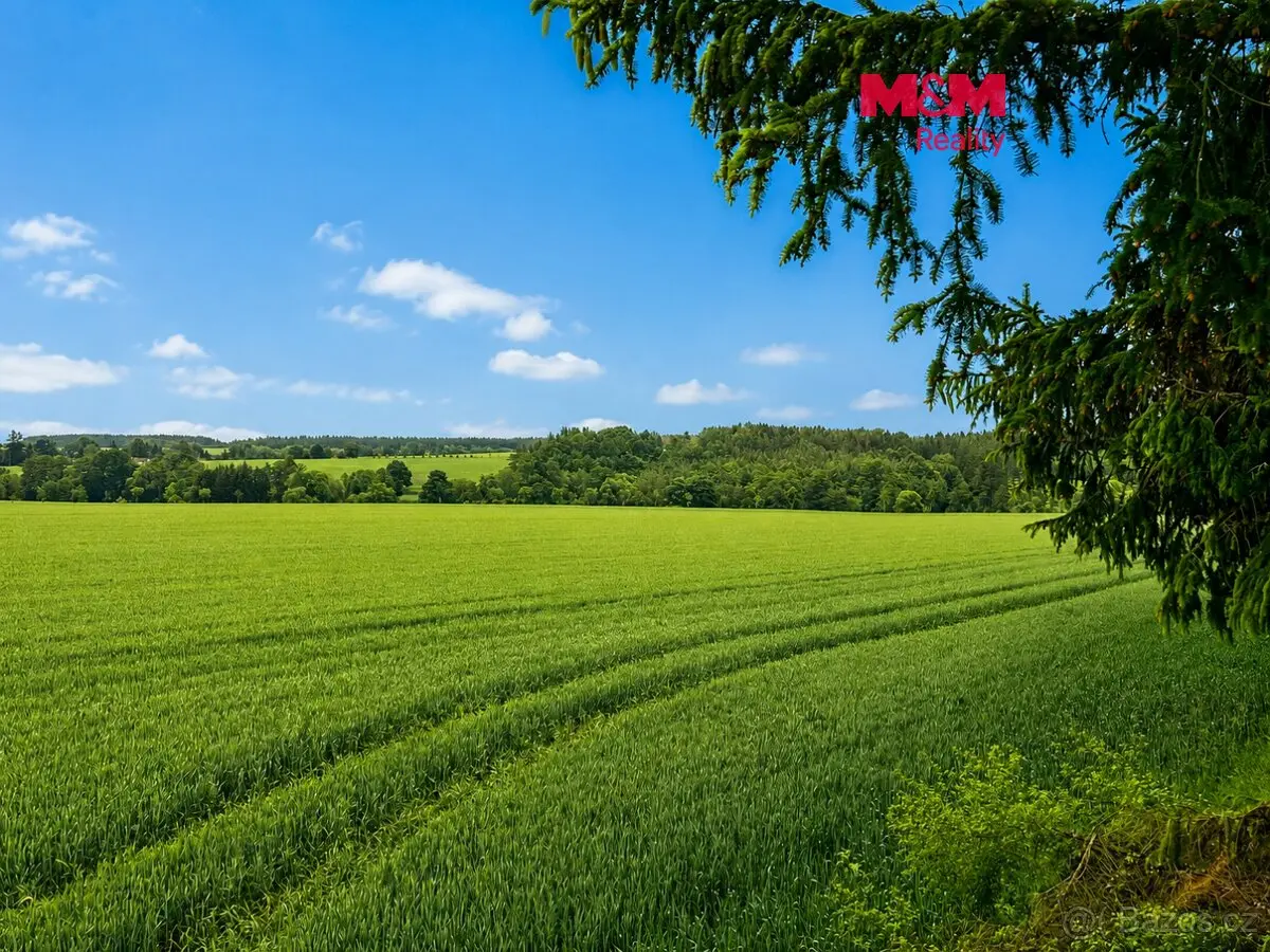 Prodej pozemku 7484 m², Písek · 398 43