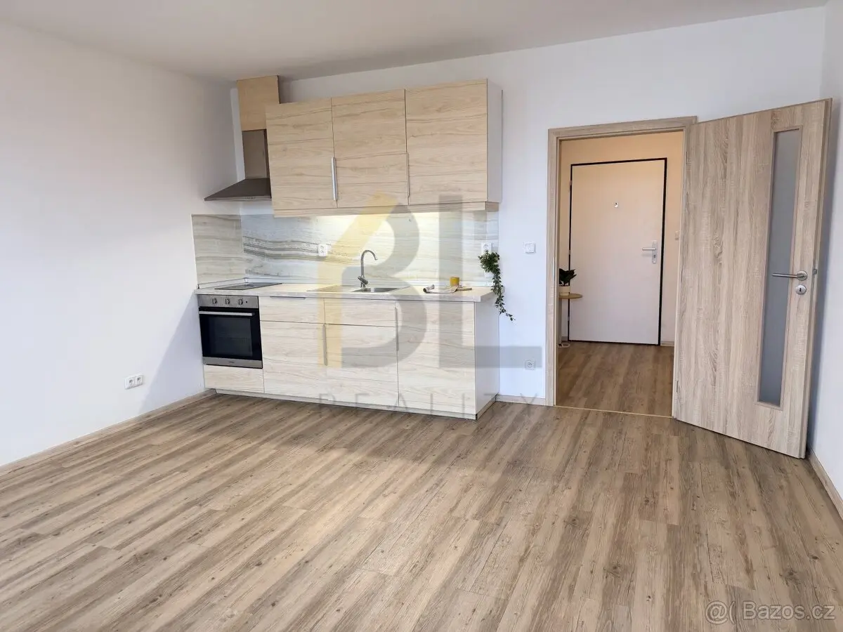 Pronájem bytu 1+kk 28 m², Hodonín · 696 01