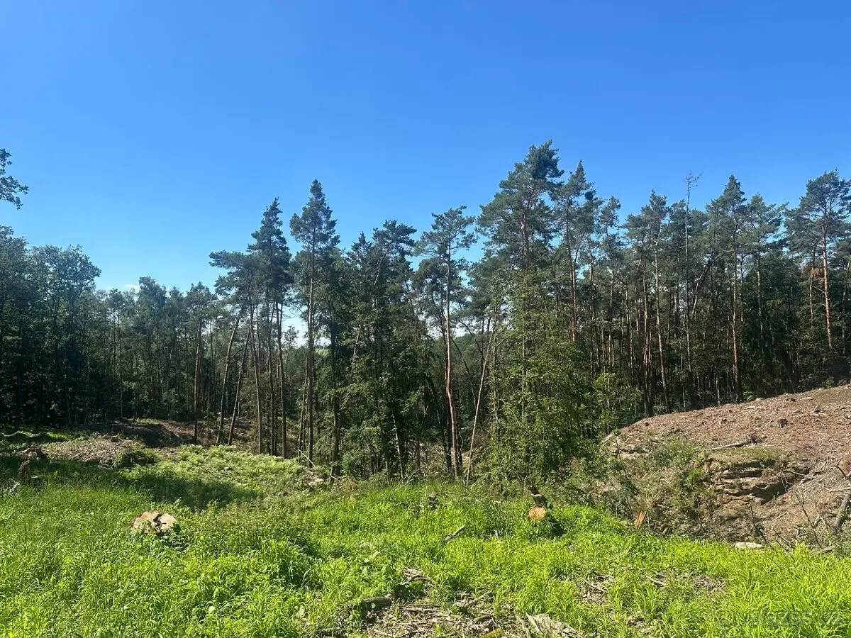 Prodej pozemku 27933 m², Mělník · 277 34