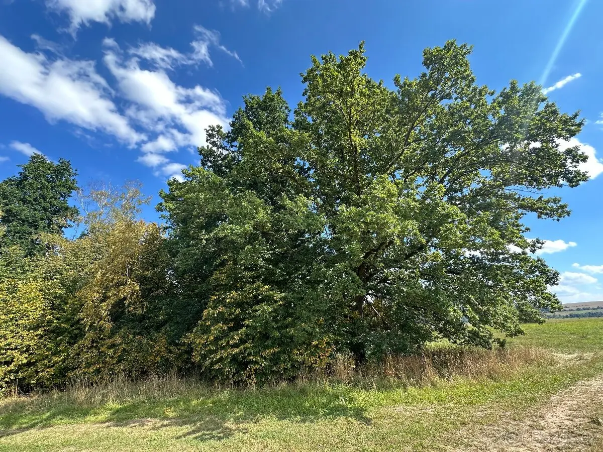 Prodej pozemku 637 m², Náchod · 550 01