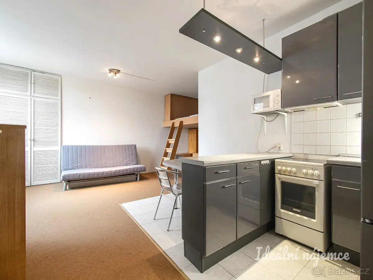 Pronájem bytu 1+kk 41 m², Hlubočepy