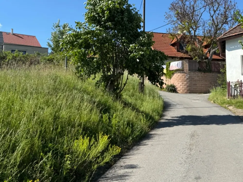 Pronájem pozemku 5500 m², Beroun · 266 01