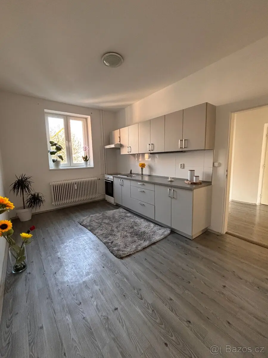 Pronájem bytu 1+1 47 m², Moravská Ostrava · Ostrava