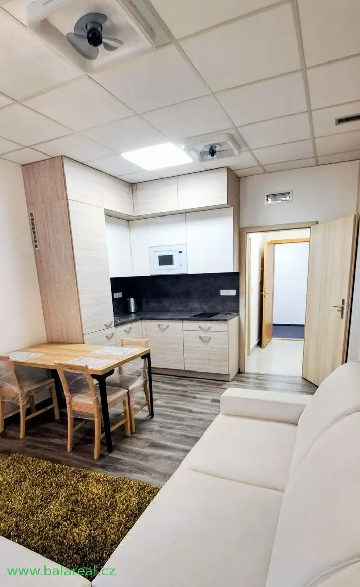 Pronájem bytu 2+kk 46 m², Veveří · Brno