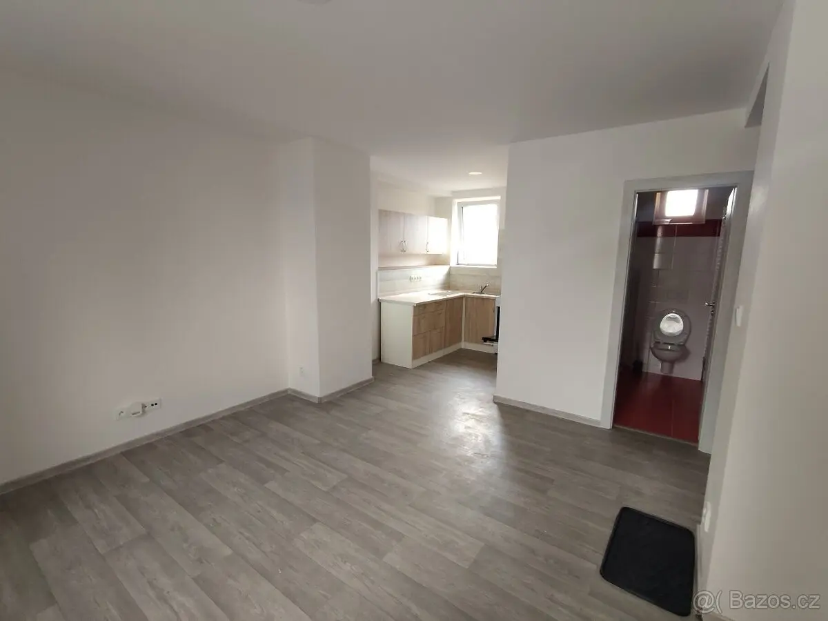 Pronájem bytu 1+kk 30 m², Brno venkov · 666 03