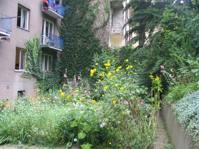 Pronájem bytu 22 m², Krč