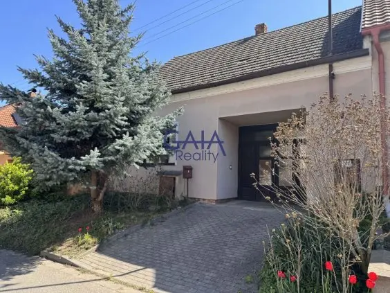 Prodej domu 495 m², Hodonín · 696 11