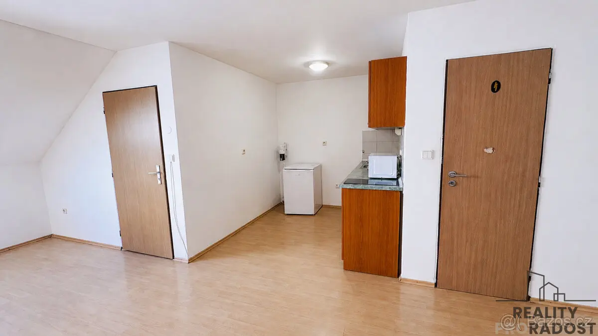 Pronájem bytu 1+kk 50 m², Hodonín